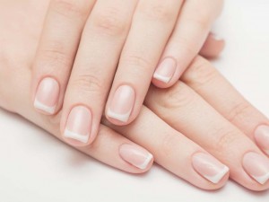 Törpü Nasıl Kullanılır? İpuçları ve Öneriler